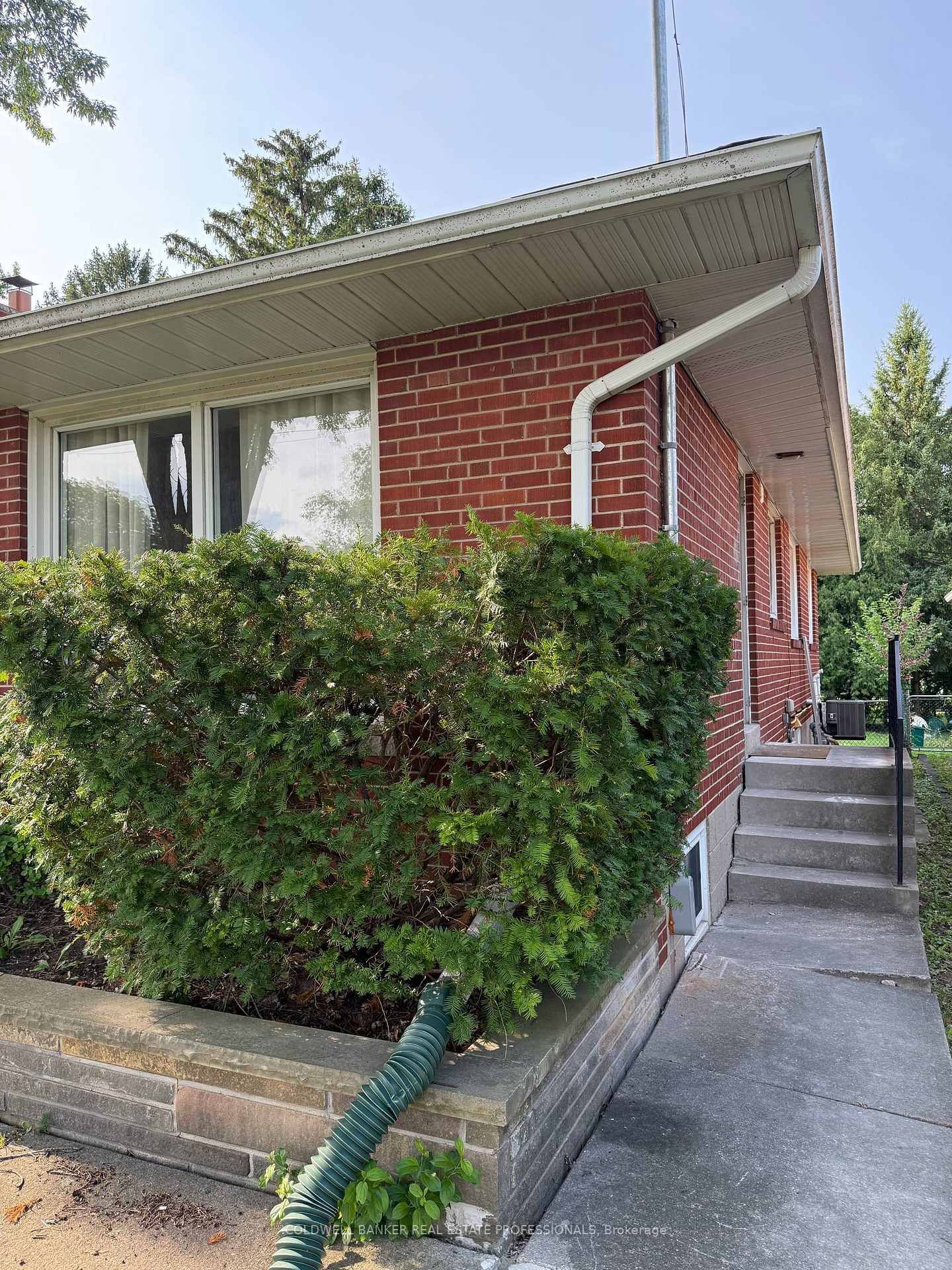 Basement B-232 Newton Dr, Toronto — 2