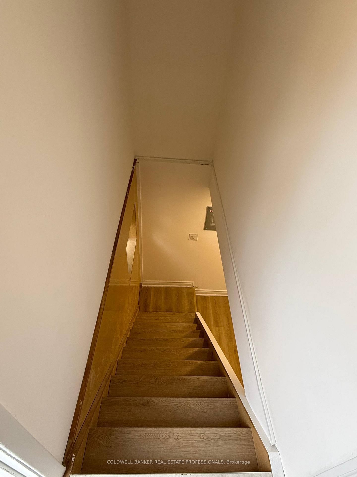 Basement B-232 Newton Dr, Toronto — 3